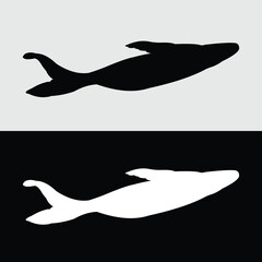 catfish silhouette design. Catfish is an ornamental fish and also a food fish