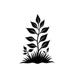 Minimalist Black & White Plant Illustration: Growth & Nature Concept