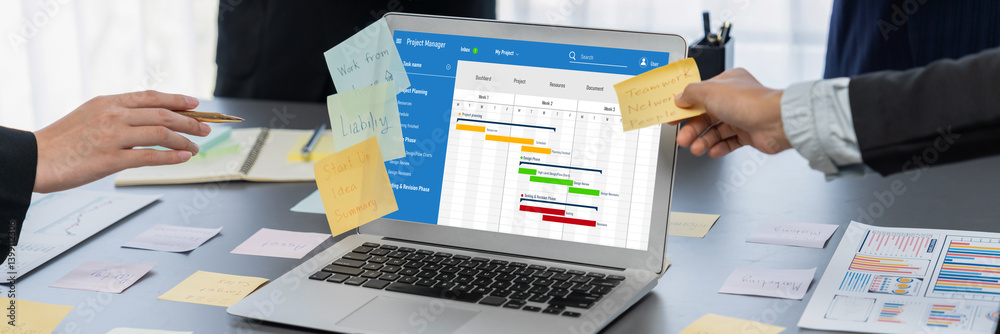 Poster project planning software for brisk business project management on the computer screen showing timel