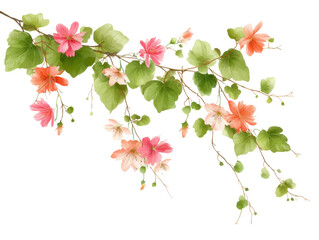 isolated transparent Background. Graceful creeper with colorful spring flowers, showcasing vibrant hues and lush greenery