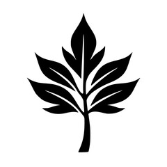 Black & White Leaf Silhouette: Elegant Nature Illustration for Design