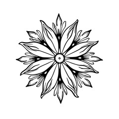 Black and White Floral Mandala Design on White Background