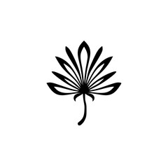 Minimalist Black Fan Palm Leaf on White Background, Modern Logo Design