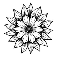 Black and White Floral Illustration: Botanical Symmetry
