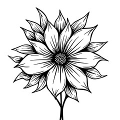 Elegant Black and White Floral Line Art Illustration