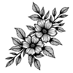 Elegant Floral Illustration: Hand-Drawn Black and White Flowers, Botanical Art