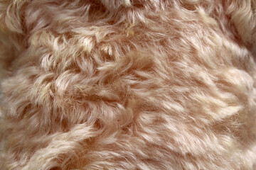 Pale pink mohair fabric material close-up abstract textured background