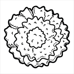 Natural Loofah Sponge vector illustrations feature home interior 