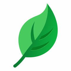 green leaf icon isolated on white background