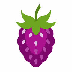 Loganberry vector icon isolated on white background
