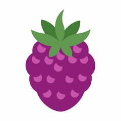 Loganberry vector icon isolated on white background