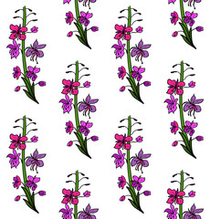Seamless pattern with fireweed, willowherb, bombweed. Chamaenerion angustifolium flower. Colorful drawing in engraving vintage style on white background. Botanical hand drawn illustration