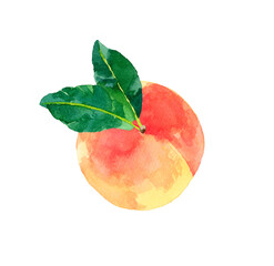 葉っぱ付きの熟した桃　フルーツの手描き水彩イラスト素材