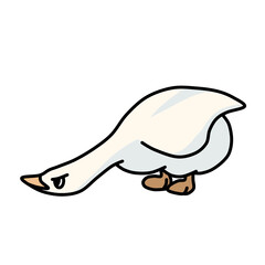 cute animal illustrations