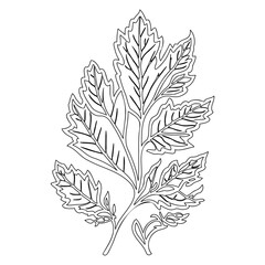 Elegant botanical line art of a leafy branch