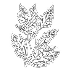 Simple Leaf Outlines: Botanical Graphic Element
