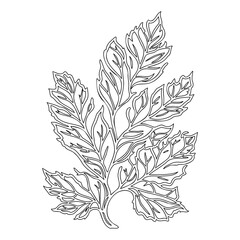 Black outline sketch of foliage on white backdrop