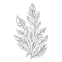 Delicate Outlined Botanical Branch on White Space