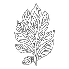 Botanical Line Art: An Elegant Leaf Illustration