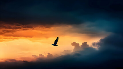 Bird Soaring Through Dramatic Sunset Clouds