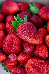 Closeup of large ripe strawberries with green stems showing natural freshness and vibrant red color ideal for concepts of healthy eating organic farming and fruit market advertising