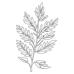 Botanical Line Art Illustration of Foliage Design