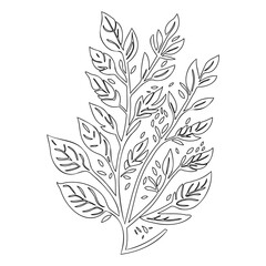 Abstract Outlined Foliage Botanical Illustration