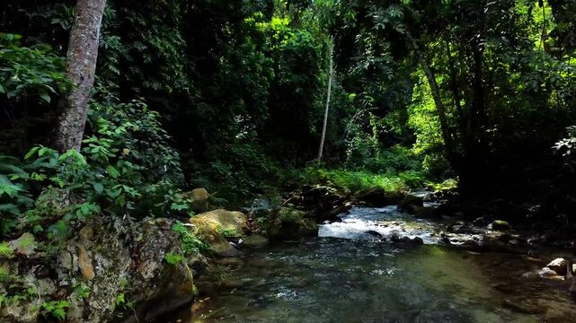Arroyo cristalino fluyendo entre rocas y &aacute;rboles verdes