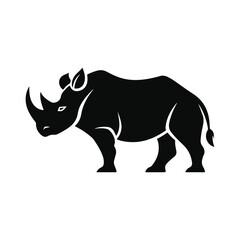 Fototapeta premium Adobe Illustrator Artwork