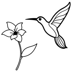 Hummingbird hovering near flower line art