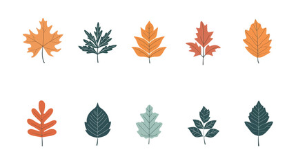 Minimalist Leaf Icon Vector Graphic Design