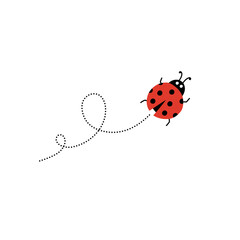 beetle flight path