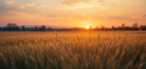  Tranquil Summer Evening Abstract Landscape of Warm Colors Gentle Light