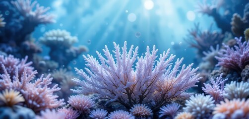  Dreamy Reef Light Blue Aquarium, Soft Colors, Blurry Details, Romantic Illustration