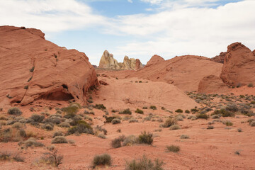 Fototapeta premium Valley of Fire state park
