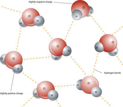 illustration of hydrogen bond