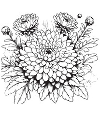 Fototapeta premium coloring book aster flower bouquet Detailed line art for coloring. Floral elegance with multiple blooms and leaves