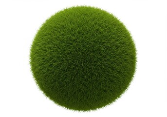 A single green moss ball isolated on a white background with a spherical shape and fuzzy texture