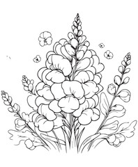 Fototapeta premium Coloring book Snapdragon blooms Detailed line art for coloring. Tall floral spire with delicate blossoms.