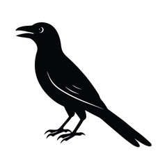 Indian Roller Silhouette Vector | Black and White Indian Roller Bird Illustration