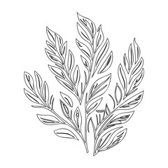 Detailed Botanical Line Art Sprig Illustration