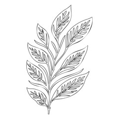 Hand Drawn Exotic Leaf, Single Design Black Outline