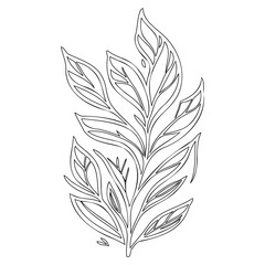 Botanical linear illustration of elegant leaves