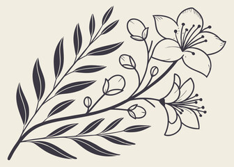 vector illustration of a feather