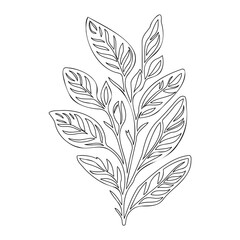 Detailed Black Line Botanical Leaf Illustration