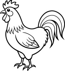 rooster outline vector illustration line art