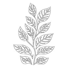 Outlined Botanical Foliage Illustration Design