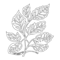 Detailed Foliage Design, Elegant Leaf Pattern Line