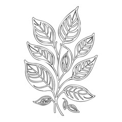 Botanical Outline Drawing of Lush Foliage Display