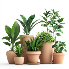 Obraz premium plant in flowerpot